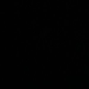 Bundle pashmina cashmere scarves bundle